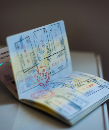 untitled design (38)